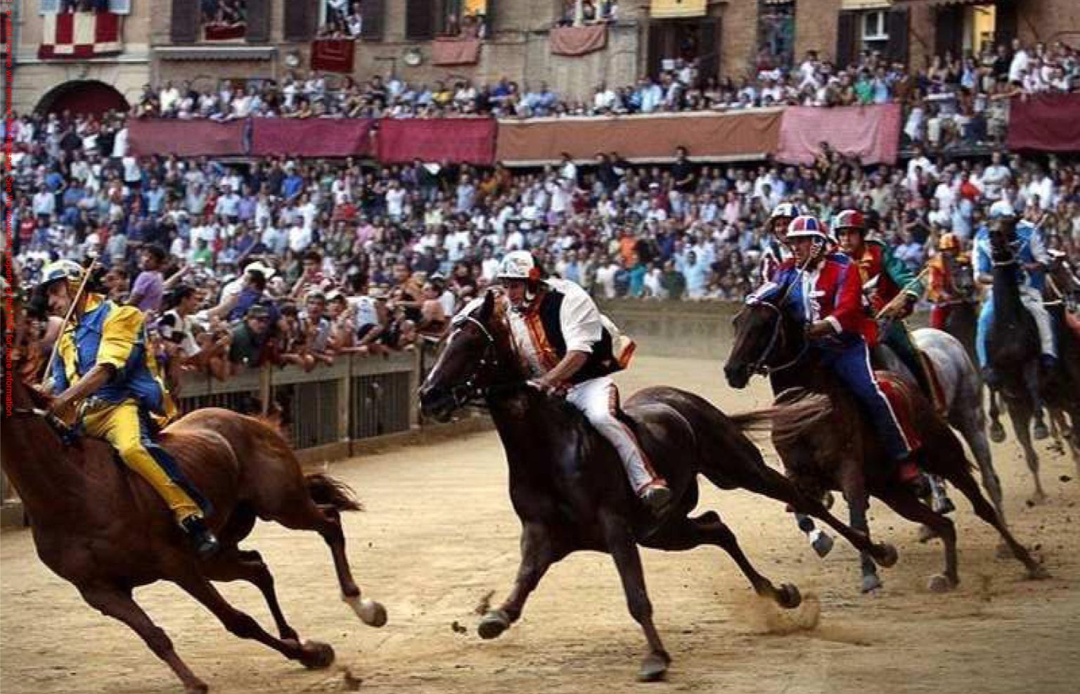 Il Palio di Siena