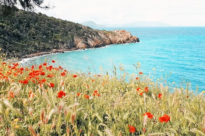 Cala Moresca